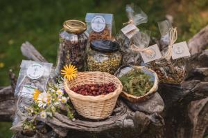 Ponudniki v sobah_junij_2020_pomanjsane-0112